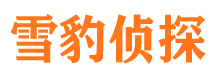 七里河找人公司